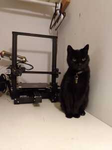 Matching 3D Printer and Cat